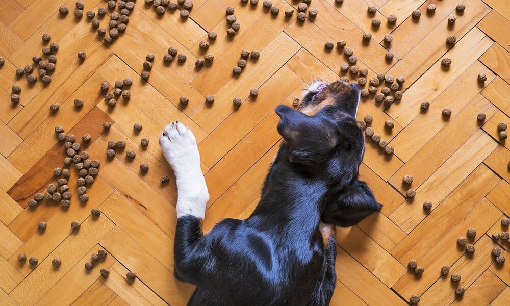Pienso Profine - Cinco salchichas para una buena digestión de tu perro