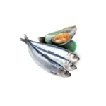 Ingredientes de Omega-3 de sardina con mejillón de concha verde para perros 100 g